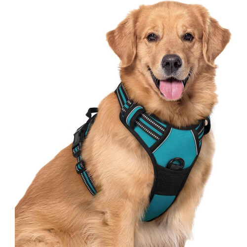 Peacock Blue Anti Pull Harness for Small Dogs Adjustable Reflective with Handle Size XL