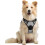 Size M Grey Anti Pull Dog Harness Adjustable Reflective with Front Attachment 1