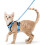 Size S Light Blue Cat Harness Adjustable Reflective Breathable Vest with Leash 1