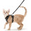 Size XS Black Cat Harness Adjustable Reflective Breathable Vest with Leash 1