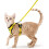 Size S Yellow Cat Harness Adjustable Reflective Breathable Vest with Leash 1
