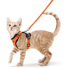 Katzengeschirr Größe XS, orange, verstellbare, reflektierende, atmungsaktive Weste mit Leine