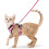 Size S Pink Cat Harness Adjustable Reflective Breathable Vest with Leash 1
