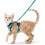 Size S Green Cat Harness Adjustable Reflective Breathable Vest with Leash 1