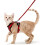 Size S Red Cat Harness Adjustable Reflective Breathable Vest with Leash 1