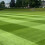 Coldstart ? Grass Seed Mix (Winter Active) Hurrells Seeds (5kg) 2
