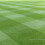 Coldstart ? Grass Seed Mix (Winter Active) Hurrells Seeds (5kg) 4