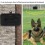 Home Ultrasonic Pet Stop Barking Device(Black) 5