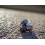 (Silver) SoundMAGIC E11D - In Ear Isolating USB-C Earphones with Integrated DAC 4