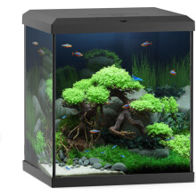 Juwel Vio Cube 54L Aquarium Fish Tank Kit LED BioFlow Filter Heater in Black