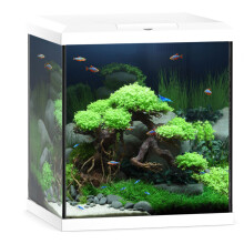 Juwel Vio Cube 54L Aquarium Fish Tank Kit LED BioFlow Filter Heater in White