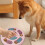 Pink Interactive Dog Puzzle for IQ Training & Mental Stimulation 6