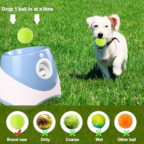 Lançador automático de bolas pequeno para cães com 6 mini bolas de tênis verdes. 2