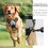 Size S Grey Anti Pull Dog Harness Adjustable Reflective with Front Attachment 6