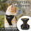 Size XS Black Cat Harness Adjustable Reflective Breathable Vest with Leash 4