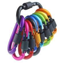 IEBUOBO 10 Pack Aluminum D Ring Key Rings Hiking Clips Locking Carabiner for Hiking Camping Fishing and Outdoor Use?Clips with Screw Gate Multicolored