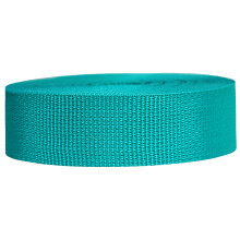 Strapworks Lightweight Polypropylene Webbing - Poly Strapping for Outdoor DIY Gear Repair, Pet Collars ? 1.5 Inch x 25 Yards, Teal
