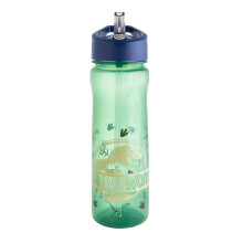 Jurassic World Bronze Water Bottle with Straw ? Reusable Kids 600ml PP in Green & Blue ? Official Merchandise by Polar Gear ? BPA Free & Recyclable