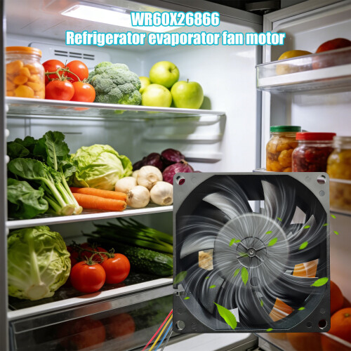 Efficient Refrigerator Evaporator Motor Plastic Noise Reduction 1