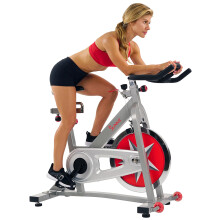Sunny Health & Fitness Exercise Cycle Bike Pro Indoor Stationary Bike with 18 KG (40 LBS) Flywheel Chain Drive Dual-Felt Resistance and Emergency Stop