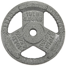 Sporzon! Cast Iron 1-Inch Grip Plate Weight Plate for Strength Training, Weightlifting and Crossfit, Single,Grey