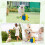 Balle gonflable pour chien, durable, avec fermetures-Bleu 45cm 4