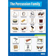 Daydream Education Percussion Instruments | Music Posters | Laminated Gloss Paper measuring 850mm x 594mm (A1) | Music Charts for the Classroom |