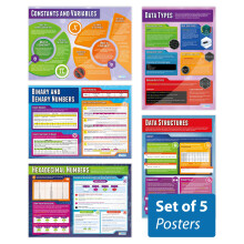 Daydream Education Data Representation Classroom Posters - Set of 5 - EXTRA LARGE - A1 (850mm x 594mm) - Gloss Paper - Computer Science Secondary