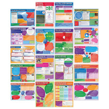Daydream Education Psychology Classroom Posters - Set of 20 - Laminated - EXTRA LARGE - A1 (850mm x 594mm) - Psychology Secondary School Wall Charts