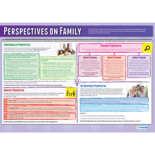 Perspectives on Family | Sociology Posters | Laminated Gloss Paper measuring 850mm x 594mm (A1) | Sociology Class Posters | Education Charts by