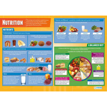 Daydream Education Nutrition | Design & Technology Posters | Gloss Paper measuring 850mm x 594mm (A1) | Design and Technology Classroom Posters |