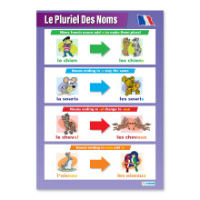 Le Pluriel des Noms | Language Learning Posters | Laminated Gloss Paper measuring 850mm x 594mm (A1) | Second Language Charts for the Classroom |