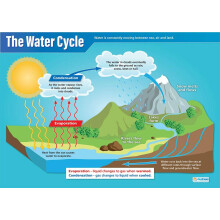 Daydream Education The Water Cycle | Science Posters | Laminated Gloss Paper measuring 850mm x 594mm (A1) | Science Charts for the Classroom |