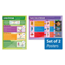 Daydream Education Movement Analysis Posters - Set of 2 | PE Posters | Gloss Paper measuring 850mm x 594mm (A1) | Physical Education Charts for the