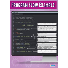 Daydream Education Program Flow Control Example | Computer Science Posters | Laminated Gloss Paper measuring 850mm x 594mm (A1) | STEM Posters for the