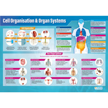 Daydream Education Cell Organization & Organ Systems Poster - EXTRA LARGE - A1 (850mm x 594mm) - Laminated - Science Secondary School Wall Charts