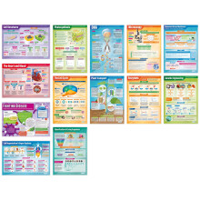 Daydream Education Biology Posters - Set of 13 | Science Posters | Gloss Paper measuring 850mm x 594mm (A1) | Science Charts for the Classroom |