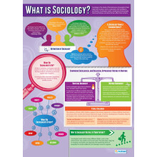 Daydream Education What is Sociology | Sociology Posters | Gloss Paper measuring 850mm x 594mm (A1) | Sociology Class Posters | Education Charts