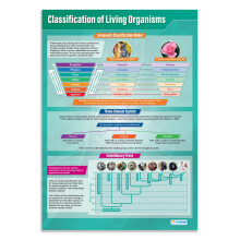 Daydream Education Classification of Living Organisms | Science Posters | Laminated Gloss Paper measuring 850mm x 594mm (A1) | Science Charts for the