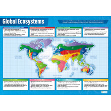 Global Ecosystems | Geography Posters | Laminated Gloss Paper measuring 850mm x 594mm (A1) | Geography Classroom Posters | Education Charts by