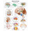 3B Scientific Human Brain Chart Paper version, VR1615UU, unlaminated 1