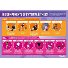 Daydream Education Components of Physical Fitness | PE Posters | Laminated Gloss Paper measuring 850mm x 594mm (A1) | Physical Education Charts for