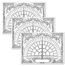 Palace Learning 3 Pack - Family Tree Chart To Fill In- 6 Generation Genealogy Poster - Blank Fillable Ancestry Chart [Version 1] (18" x 24")