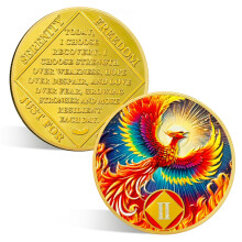 ACGZQY 2 Year Na Medallion ? Rebirth Phoenix Sobriety Chip AA NA Coins and Medallions Upon Awakening Recovery Addiction Sober Token Affirmation