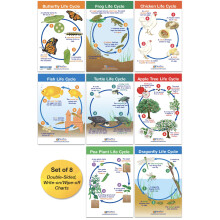 NEW PATH LEARNING Life Cycles Set of 8