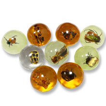 9 pcs Insect Amber Fossils, BOSOIRSOU Fossil Pendants, Different Insect Specimen, Bug Preserved in Resin, Educational and Scientific Amber Collections
