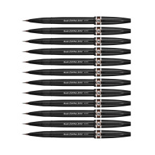 Pentel SESF30 ?C EX Extra Fine Paint Brushes (Set of 12 Brown