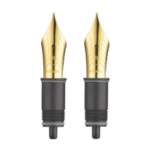 Asvine Set of 2 8 Replacement Nib - Medium Point-Compatible with all 8 Nib Fountain Pens (C2000 and C80)-Gold
