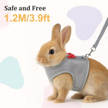 Bunny Harness and Leash Set, Soft Breathable Mesh Vest, Escape-Proof Adjustable Small Pet Harness