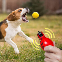 4 Stück Pfeife Laut Notfall-Schiedsrichterpfeife Handpfeife für Schiedsrichter, Sportlehrer, Hundetrainer, Trainerzubehör
